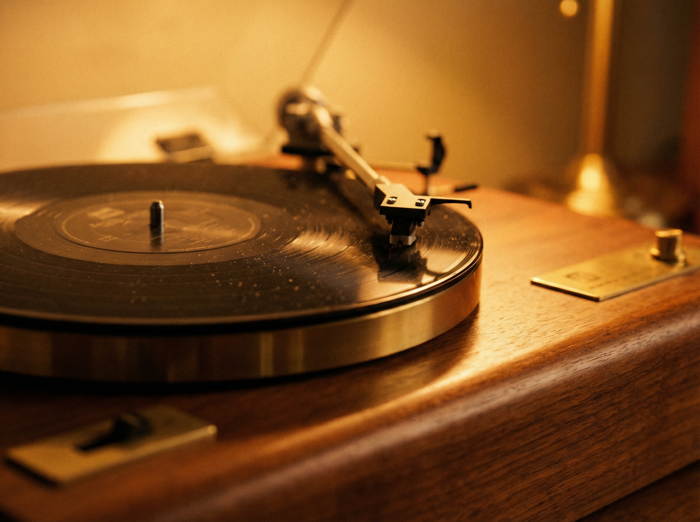 c7娱乐 - 黑胶唱片特写